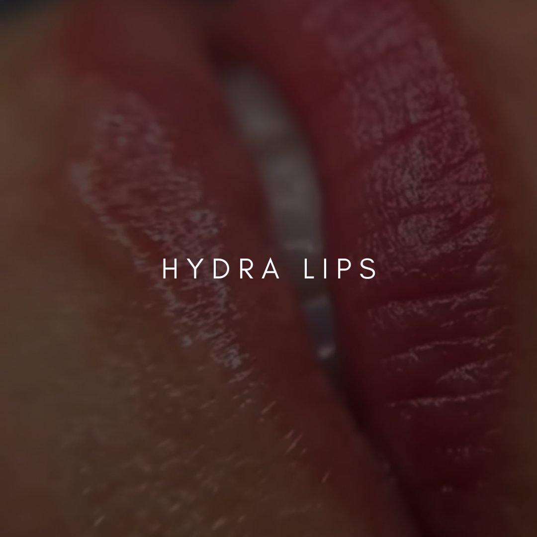 Formation en ligne | Hydra Lips