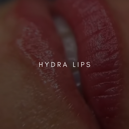 Formation en ligne | Hydra Lips